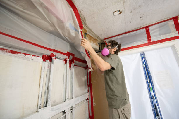 Asbestos and Lead Testing During Mold Inspection in Pleasant Grove, AL